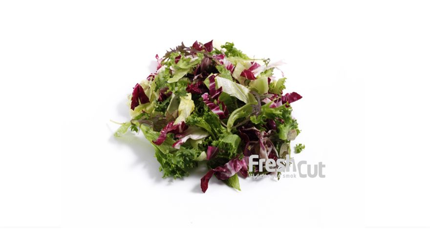Salat Hverdagsmix