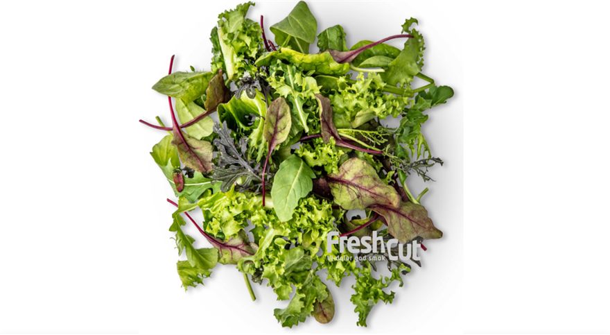 Salat Theatermix