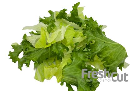 Fresh Salatblanding