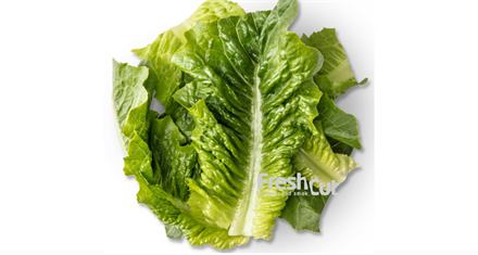 Romano blader vasket
