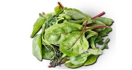 Salat Baby Leaf