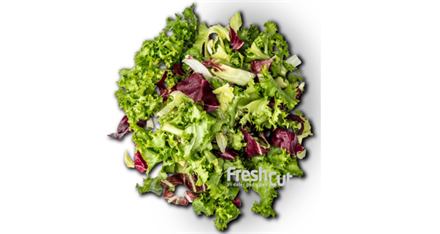 Salat Lux