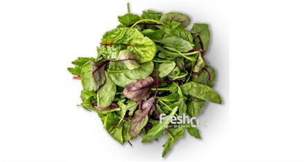 Salat Napolitana/ Baby Leave Saltmix