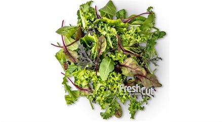 Salat Theatermix