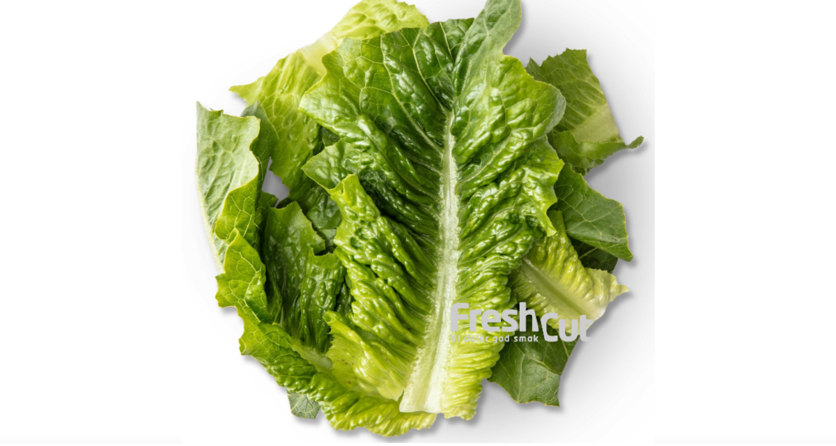 Romano blader vasket