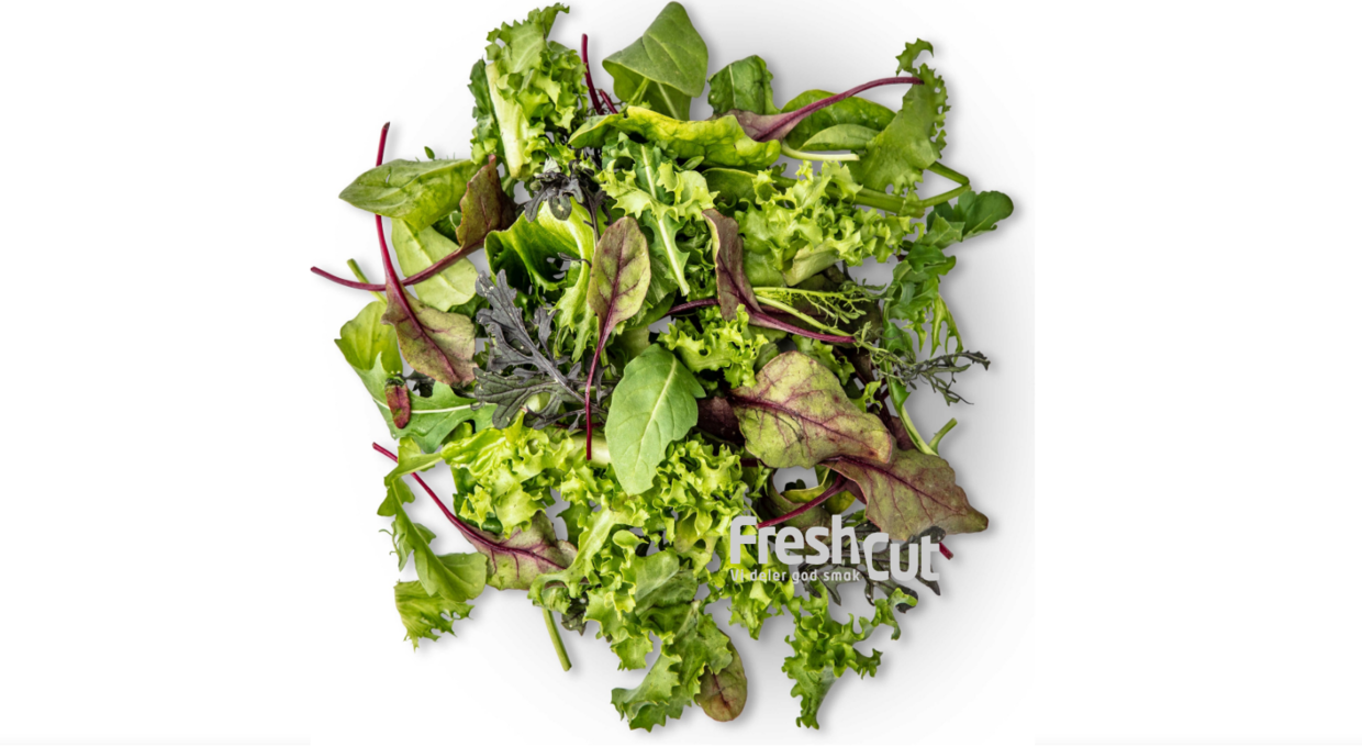 Salat Theatermix